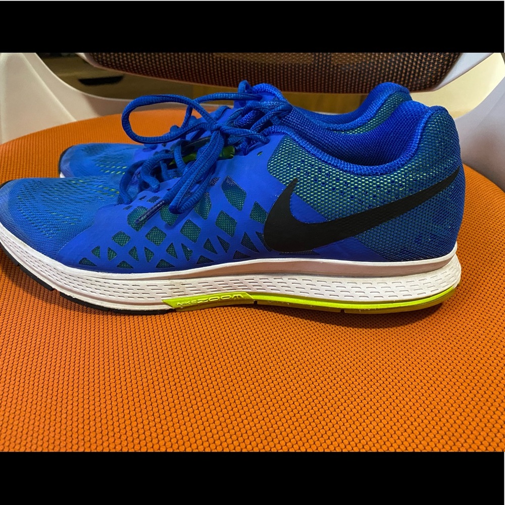Nike Pegasus 31